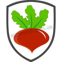 Насіння буряка