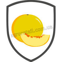 Насіння дині