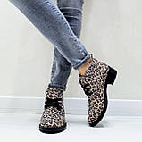 Жіночі демісезонні черевички Desert з принтом із натурального нубуку, фото 4