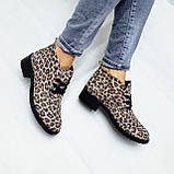 Жіночі демісезонні черевички Desert з принтом із натурального нубуку, фото 8