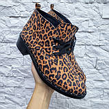 Жіночі демісезонні черевички Desert з принтом із натурального нубуку, фото 9