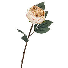 Штучний квітка "Піон ажурний напівзакритий" 68 см (бежевий колір)
