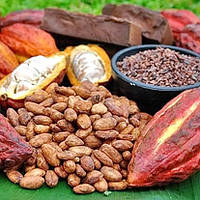 Зустріч-семінар для шоколатьє з Андрієм Гречаным