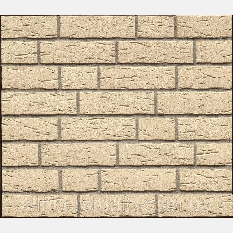 Клінкерна плитка R691 DF11 240X52X11