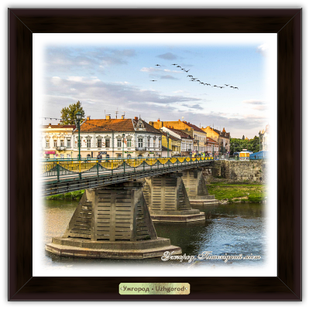 Еко-картина Місто Ужгород