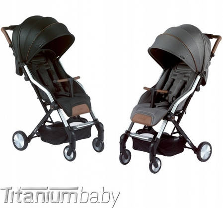 Прогулянкова коляска Titaniumbaby BUGGY CABI Beeyu, фото 2
