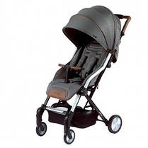 Прогулянкова коляска Titaniumbaby BUGGY CABI Beeyu, фото 2