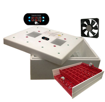 Інкубатор з автопереворотом на 288 перепелиних яєць Аист-8