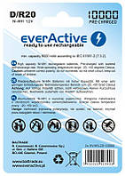 Акумулятор everActive D/HR20 10000 mAh BL 2 шт.