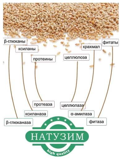 Натузим, фото 1