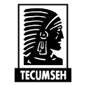 Запчастини до двигунів Tecumseh ( Fiat )