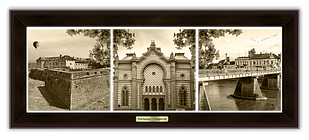 Еко-картина Місто Ужгород.