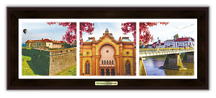 Еко-картина Місто Ужгород.