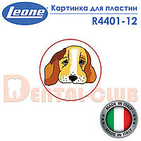 Картинка аппликация Leone (Леоне) цветной мотив для ортодонтических аппаратов (пластин, кап и т.п.) №12 собака R4401-12