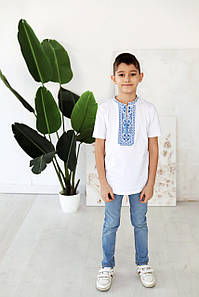 Вишита футболка для хлопчика DXL-03