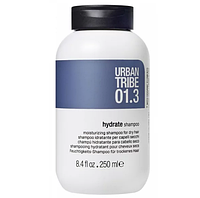 Увлажняющий Шампунь для Сухих Волос Urban Tribe 01.3 Shampoo Hydrate 250 мл