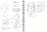 Sketch-book. Скетчбук "Малюємо фантастичних істот" Експрес-курс, фото 8