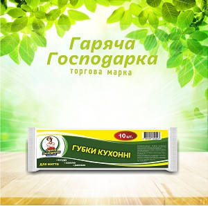 Губки кухонні для миття посуду ТМ Гаряча Господарка 8,0х5,0х2,5 см 10 шт (4820206610447)