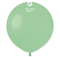 Повітряна куля 19' пастель Gemar G150-77 М'ятна (48 см), 10 шт.