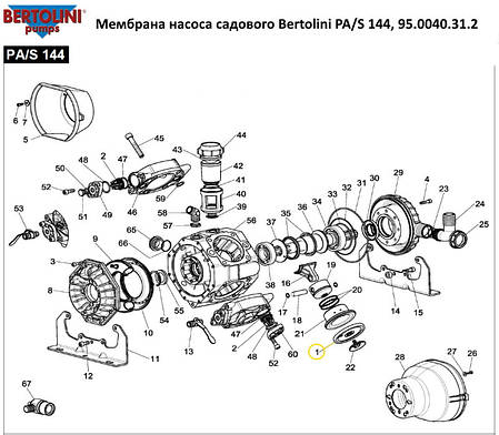 Мембрана насоса садового Bertolini PA/S 144, 95.0040.31.2, фото 2