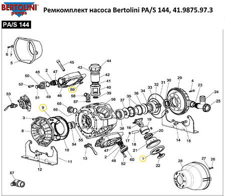 Ремкомплект насоса Bertolini PA/S 144, 41.9875.97.3, фото 2