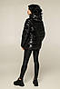Демісезонна чорна куртка коротка жіноча лакова, фото 3