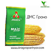 Насіння кукурудзи ДМС ГРОНО (ФАО – 260) 2019 р.в. (МАІС Синельн) 20,9 кг