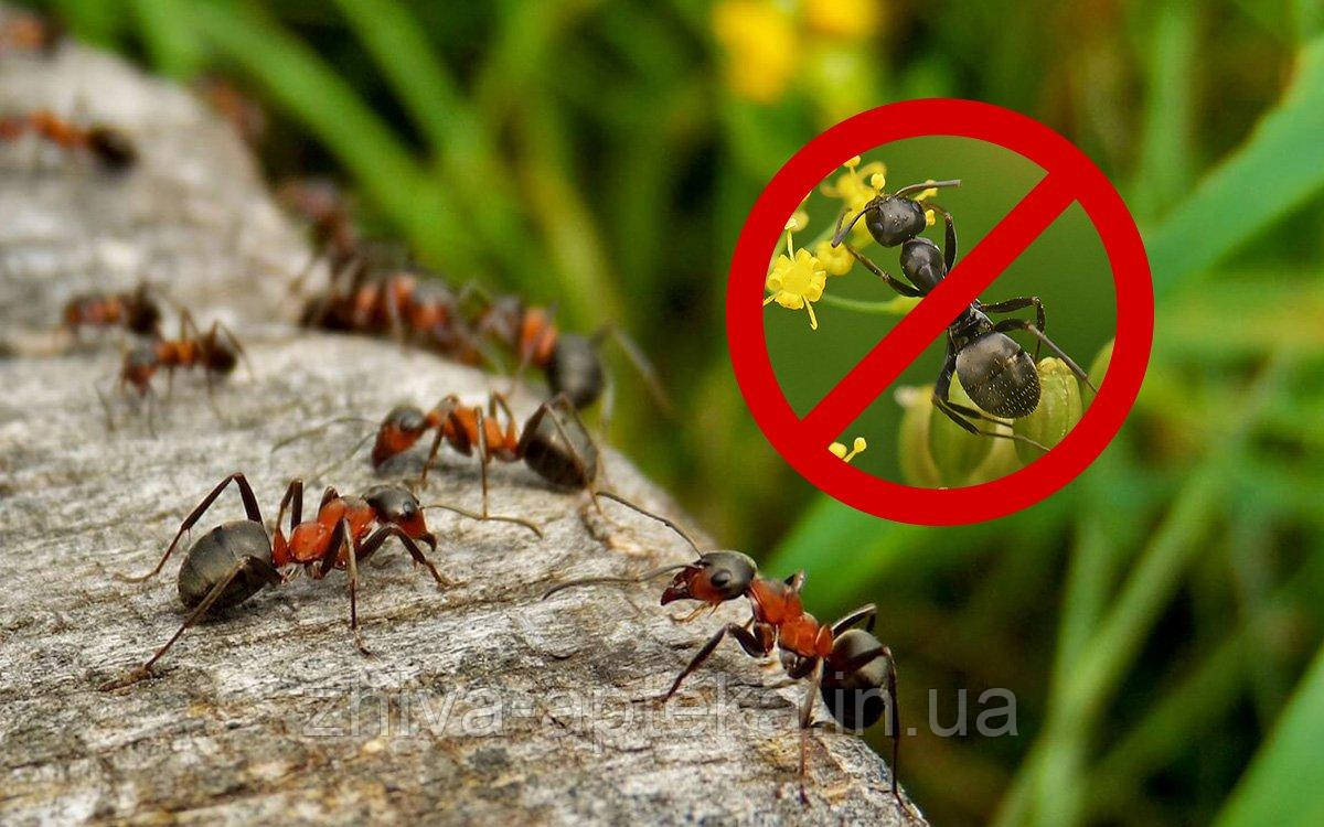 Захист від садових мурашок (400мл)