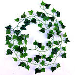 Штучна ліана зелен плющ латекс 2 метра 12 шт/уп, фото 2