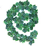 Ліана плющ  "Філодендрон лазячий" зелен (латекс) 2 метра, фото 2