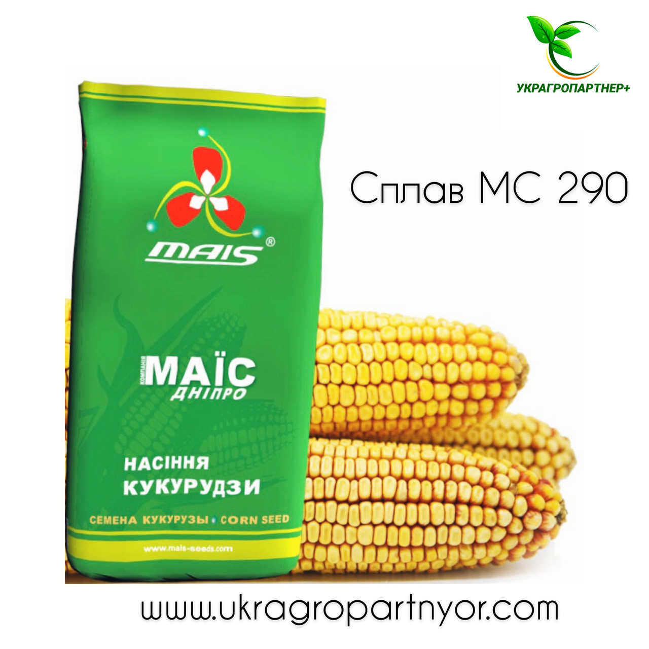 Насіння кукурудзи СПЛАВ МС 290 (ФАО - 290) фр.2 2022 р.в. (МАІС Синельникове)