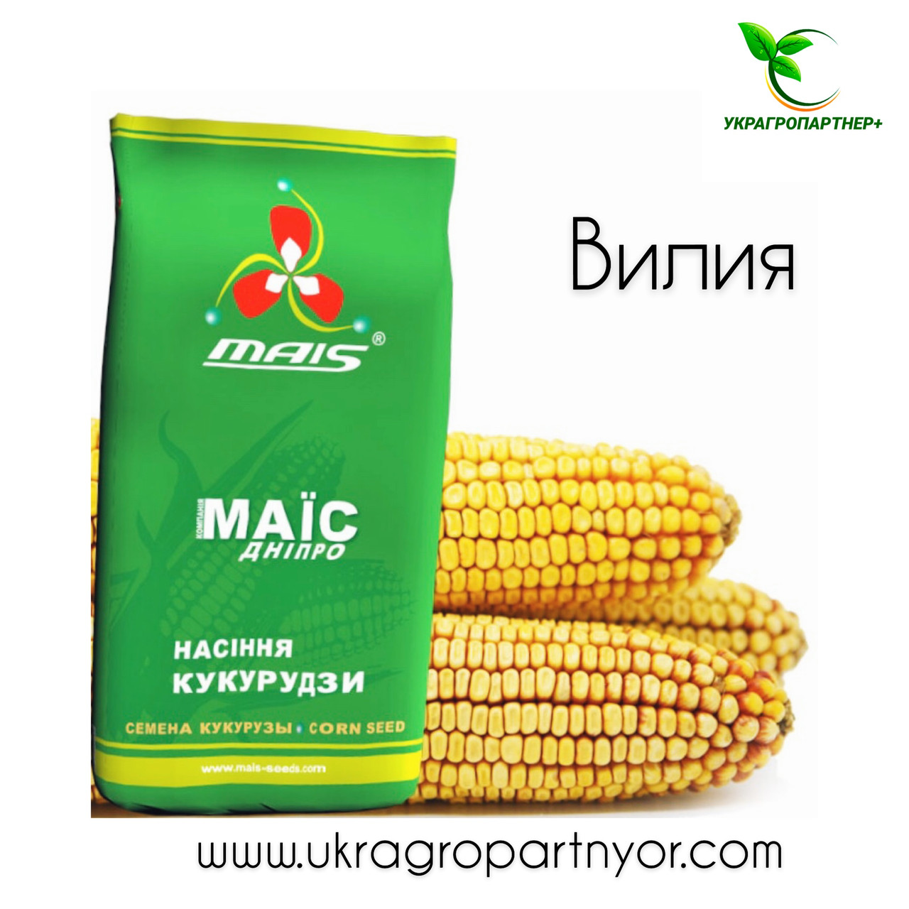 Насіння Кукурудзи ГРОНО (ФАО – 260) ф.3 2020 р.в. 16,6 кг
