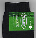 Носки мужские демисезонные х\б ,,Бамбук,, 25 размер  антибактериальные, фото 2