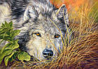 Пазли Вовк на 500 елементів, фото 2