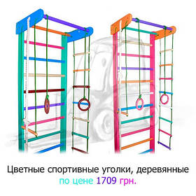 Спортивний куточок і турнік для МАЛЬЧИКІВ, 210 см