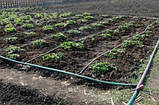 Крапельний полив набір Профі-500. Garden drip (Польща), фото 9