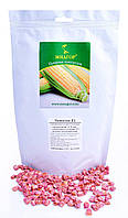 Сахарная кукуруза Чемпион F1, Sh2-тип, 20 000 семян на 30 соток, 76-78 дней