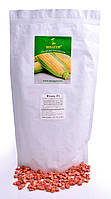 Сахарная кукуруза Фиона F1, 100 000 семян на 1.5 га, раннеспелый (69-71 дней), Sh2-тип