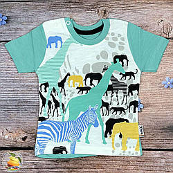 Футболка для хлопчика Розміри: 6,9,12 місяців (20197-3)
