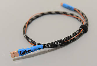 Curious Evolved USB кабель 0.8м