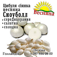 Лук совок Сноубол (Snowball) Голландія, 1 кг