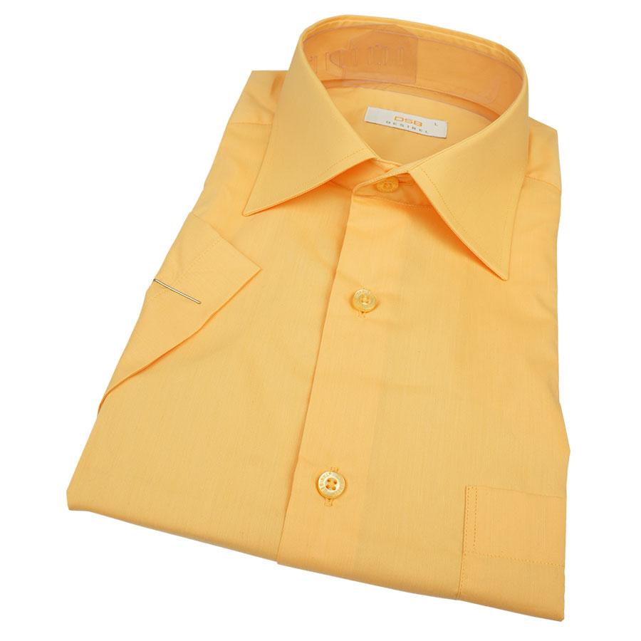 Чоловіча класична сорочка Desibel 23164 Classic K короткий рукав