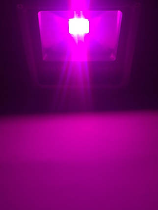 Світлодіодний фітопрожектор SL-20G SLIM 20W IP65 (full spectrum led) Код.58822, фото 2