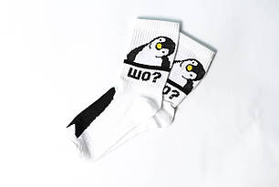 Шкарпетки Rock'n'socks Пінгвін питає Шо