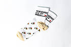 Подарунковий тубус шкарпеток Bon appetit tube, One size (37-43), фото 5