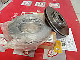 Комплект вентильованих гальмівних дисків Renault Kangoo (Motrio 8671005976), фото 3
