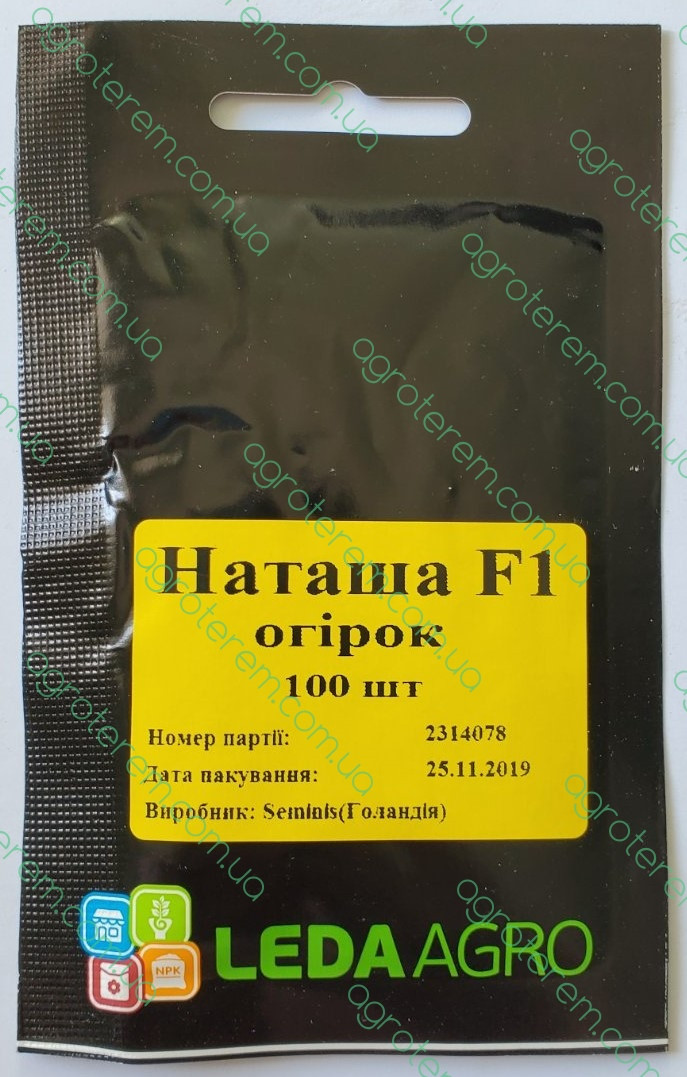 Огірок Наташа 100шт