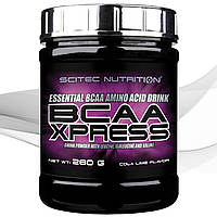 Амінокислоти БЦАА Scitec Nutrition BCAA XPRESS 280 g