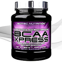 Амінокислоти БЦАА Scitec Nutrition BCAA XPRESS 500 g