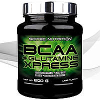 Аминокислоты БЦАА + глютамин Scitec Nutrition BCAA+Glutamine Xpress 600 g